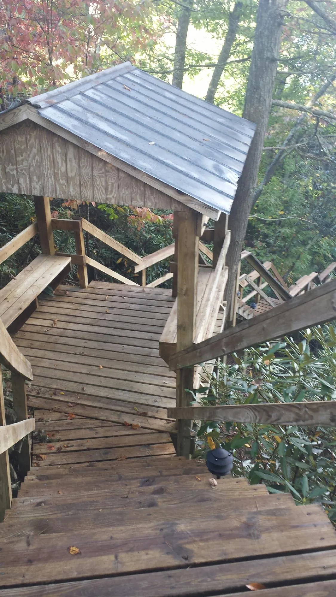 Metal roofed shelter over wooden steps on a wooded walkway — Skylight Repair & Installation work by our crew in Rayle